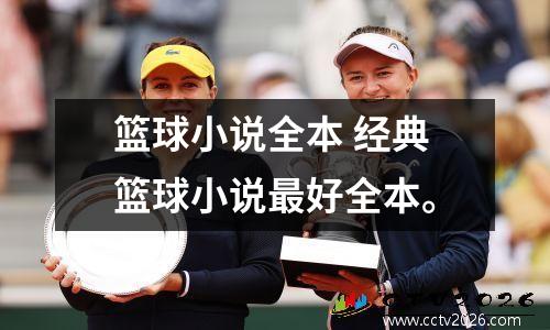 篮球小说全本 经典篮球小说最好全本。