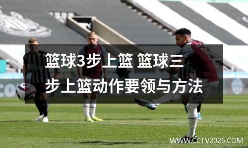 篮球3步上篮 篮球三步上篮动作要领与方法