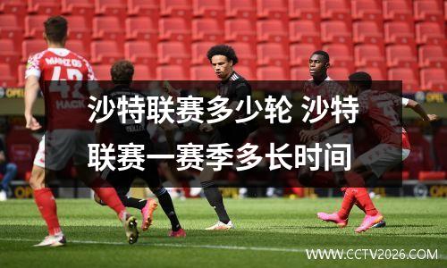 沙特联赛多少轮 沙特联赛一赛季多长时间