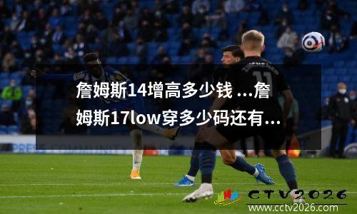 詹姆斯14增高多少钱 ...詹姆斯17low穿多少码还有詹姆斯17low大概增高多少cm