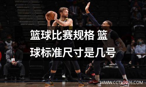 篮球比赛规格 篮球标准尺寸是几号