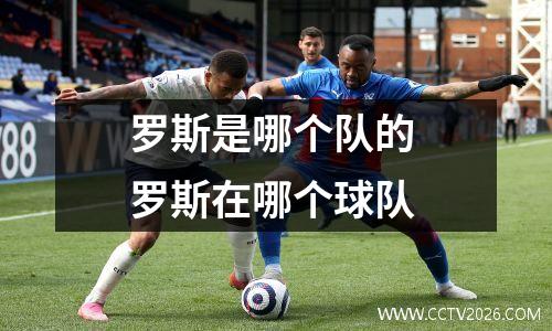 罗斯是哪个队的 罗斯在哪个球队