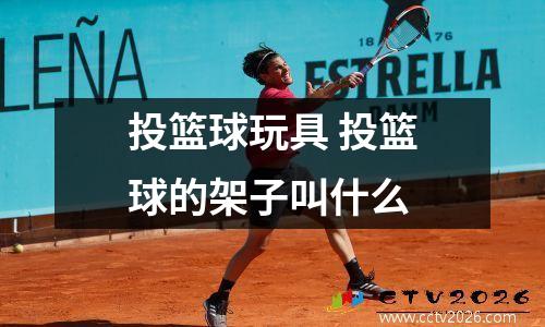 投篮球玩具 投篮球的架子叫什么