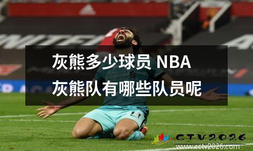 灰熊多少球员 NBA灰熊队有哪些队员呢