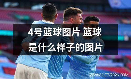 4号篮球图片 篮球是什么样子的图片