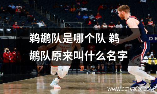 鹈鹕队是哪个队 鹈鹕队原来叫什么名字