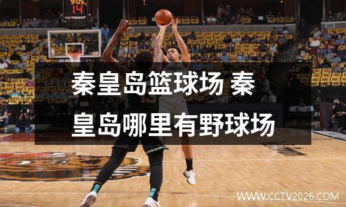 秦皇岛篮球场 秦皇岛哪里有野球场