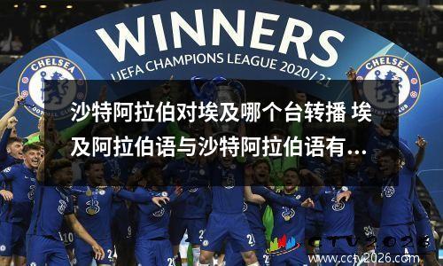 沙特阿拉伯对埃及哪个台转播 埃及阿拉伯语与沙特阿拉伯语有什么不同吗