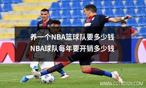 养一个NBA篮球队要多少钱 NBA球队每年要开销多少钱