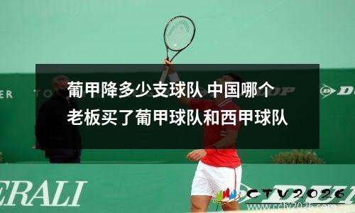 葡甲降多少支球队 中国哪个老板买了葡甲球队和西甲球队