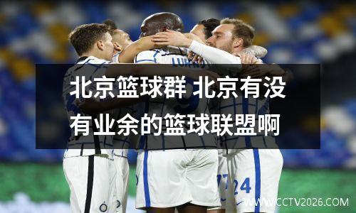 北京篮球群 北京有没有业余的篮球联盟啊