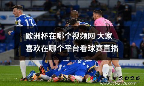 欧洲杯在哪个视频网 大家喜欢在哪个平台看球赛直播
