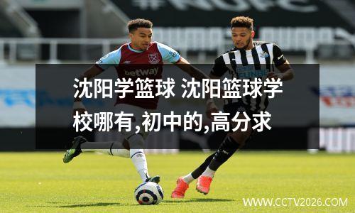 沈阳学篮球 沈阳篮球学校哪有,初中的,高分求
