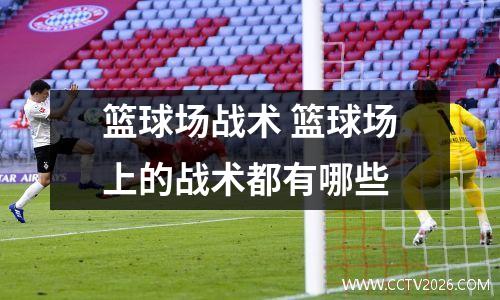 篮球场战术 篮球场上的战术都有哪些