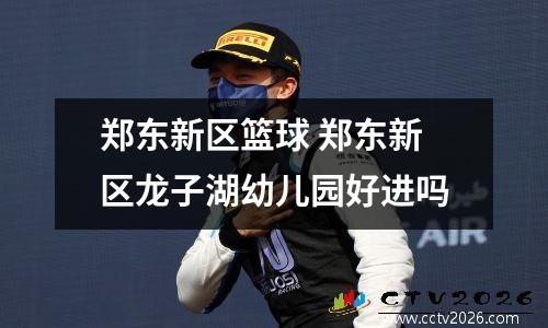 郑东新区篮球 郑东新区龙子湖幼儿园好进吗