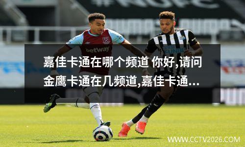 嘉佳卡通在哪个频道 你好,请问金鹰卡通在几频道,嘉佳卡通在几频道