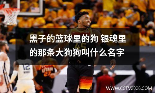 黑子的篮球里的狗 银魂里的那条大狗狗叫什么名字