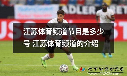江苏体育频道节目是多少号 江苏体育频道的介绍