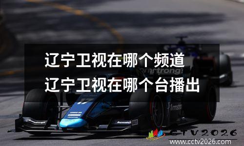 辽宁卫视在哪个频道 辽宁卫视在哪个台播出