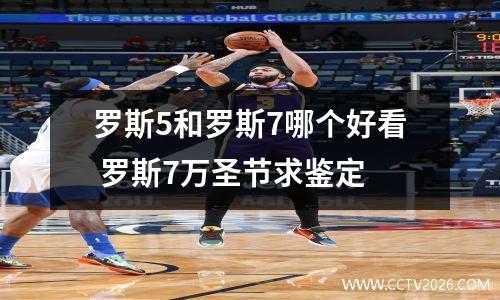 罗斯5和罗斯7哪个好看 罗斯7万圣节求鉴定