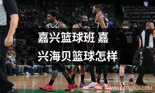 嘉兴篮球班 嘉兴海贝篮球怎样