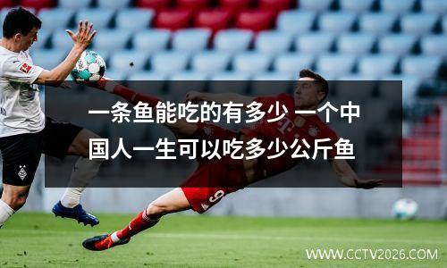 一条鱼能吃的有多少 一个中国人一生可以吃多少公斤鱼