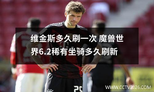 维金斯多久刷一次 魔兽世界6.2稀有坐骑多久刷新
