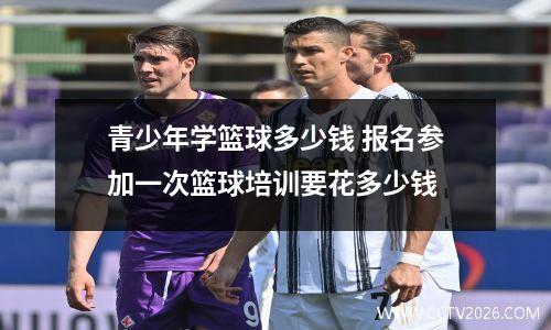 青少年学篮球多少钱 报名参加一次篮球培训要花多少钱