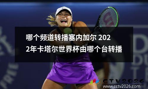 哪个频道转播塞内加尔 2022年卡塔尔世界杯由哪个台转播