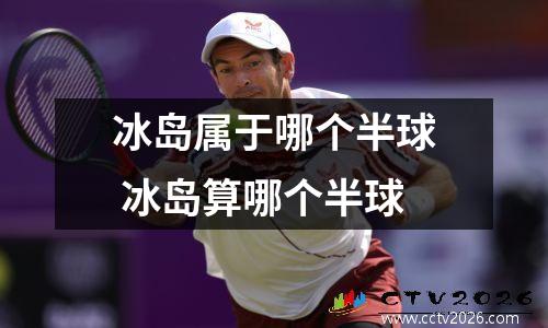 冰岛属于哪个半球 冰岛算哪个半球