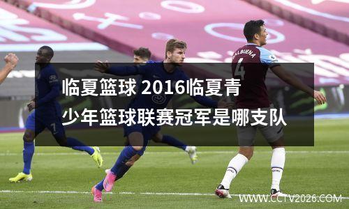 临夏篮球 2016临夏青少年篮球联赛冠军是哪支队