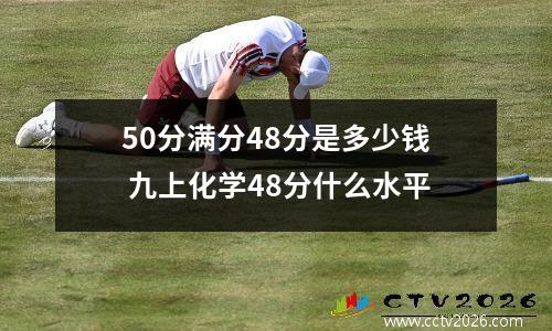 50分满分48分是多少钱 九上化学48分什么水平