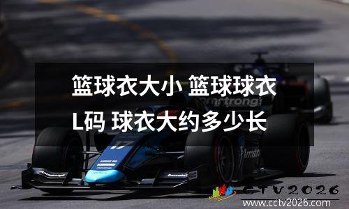 篮球衣大小 篮球球衣L码 球衣大约多少长