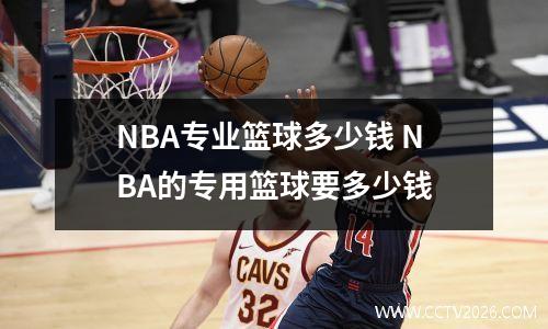 NBA专业篮球多少钱 NBA的专用篮球要多少钱