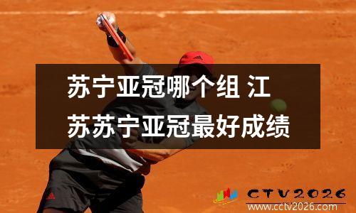 苏宁亚冠哪个组 江苏苏宁亚冠最好成绩