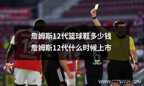 詹姆斯12代篮球鞋多少钱 詹姆斯12代什么时候上市