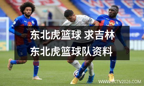 东北虎篮球 求吉林东北虎篮球队资料
