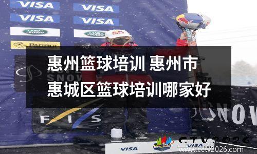 惠州篮球培训 惠州市惠城区篮球培训哪家好