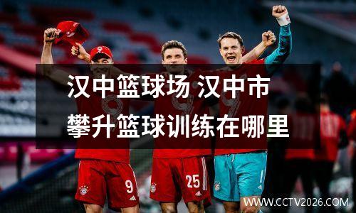 汉中篮球场 汉中市攀升篮球训练在哪里