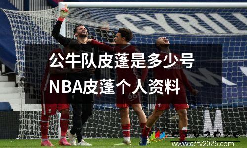 公牛队皮蓬是多少号 NBA皮蓬个人资料