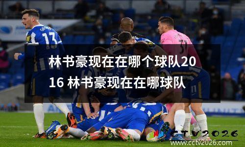 林书豪现在在哪个球队2016 林书豪现在在哪球队