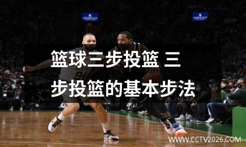 篮球三步投篮 三步投篮的基本步法