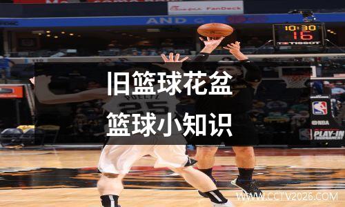 旧篮球花盆 篮球小知识