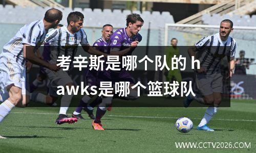 考辛斯是哪个队的 hawks是哪个篮球队