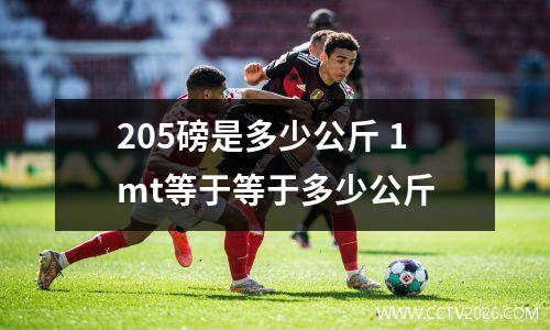 205磅是多少公斤 1mt等于等于多少公斤