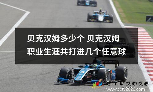 贝克汉姆多少个 贝克汉姆职业生涯共打进几个任意球