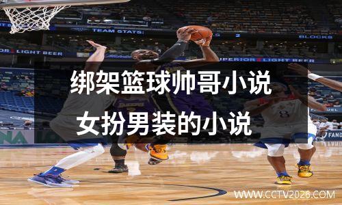 绑架篮球帅哥小说 女扮男装的小说