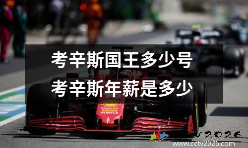 考辛斯国王多少号 考辛斯年薪是多少