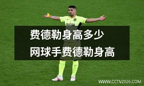 费德勒身高多少 网球手费德勒身高