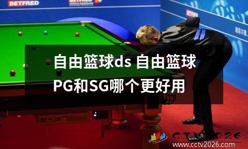 自由篮球ds 自由篮球PG和SG哪个更好用